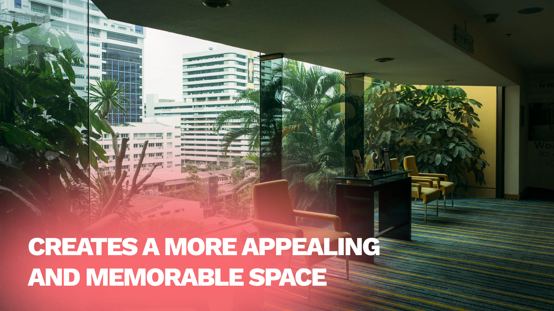 Creates a More Appealing and Memorable Space