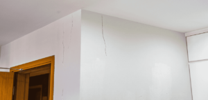 Read more about the article What are the different types of cracks & their causes?