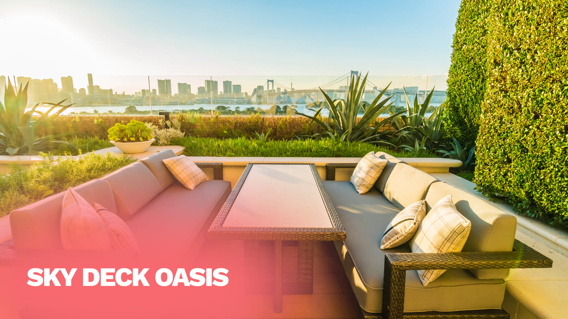 Sky Deck Oasis