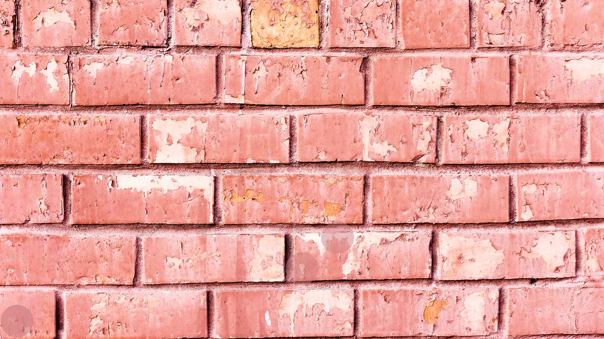 Garden Wall Bond